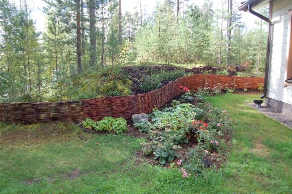 Tolvasen Pajutila
Vitsi�l�, Ristiina
Punottu pajuaita
Siperianpaju
Aita