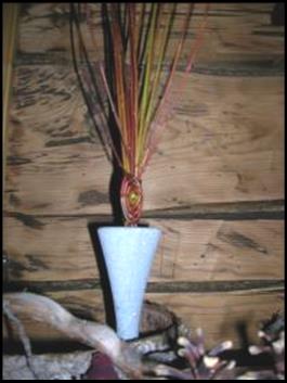Punapaju Salix purpurea
Tolvasen Pajutila